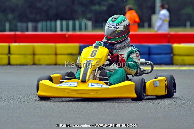 DSC_ (599).jpg